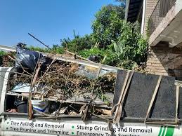 Best Electronics and E-Waste Disposal  in Big Rapids, MI